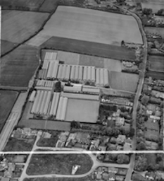 Aerial 05